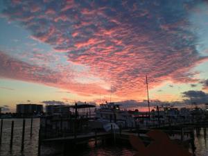 stacey's Destin sunset