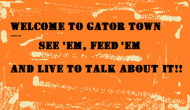 GATOR TOWN SIGN