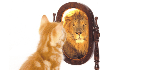 confidence-farzana-featured