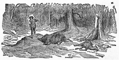 The_Hunter_and_the_Wolf