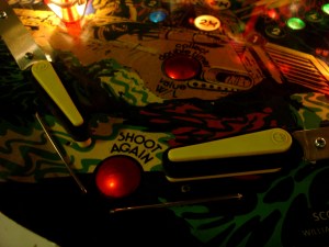 morguefile free photo