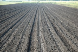 By kconnors, 2013, MorgueFile.com