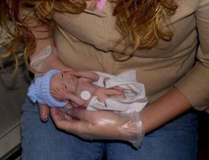 Photo from Texas Congressman Steve Stockman