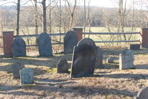 Photo by The Brass Glass, 2014, MorgueFile.com