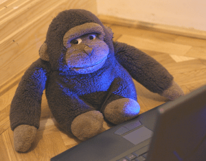 Photo by deanjenkins, 2005 MorgueFile.com