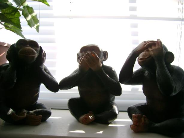 Photo by Scarletina, 2014, MorgueFile.com