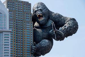 By Ranbud, 2016, MorgueFile.com